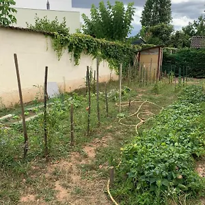 T2 Independant Proche Ol Stadium Et Salle Ldlc Arena Appartement Meyzieu